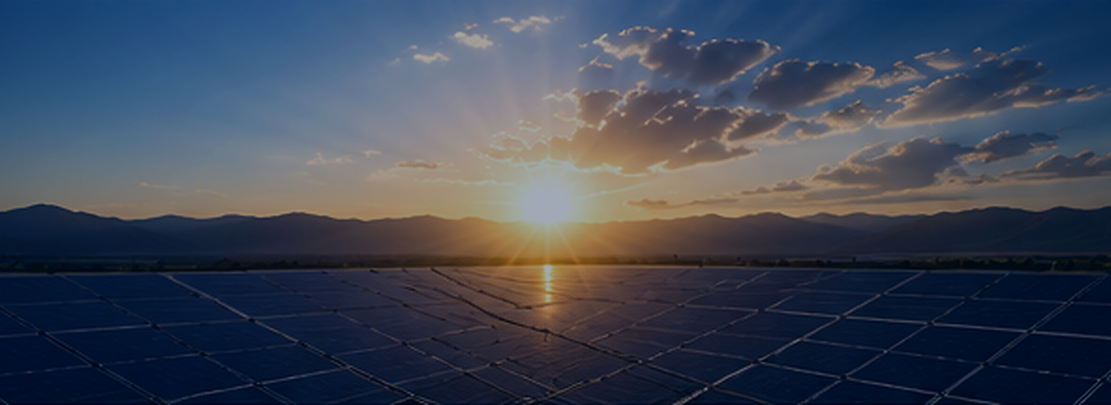 Solar panel field at sunset